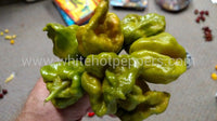 Swamp Thing - Pepper Seeds - White Hot Peppers